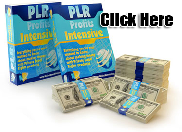 Niche Revolution PLR Marketing Niche Revolution PLR Marketing